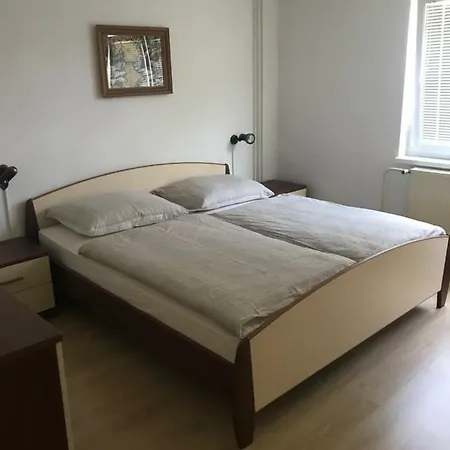 Jelovska Cesta 13 דירה